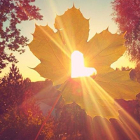 (yng)늜uyC(j)ļg(sh)M(jn)܇